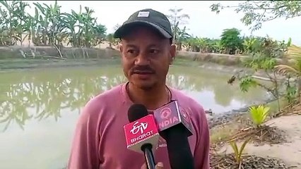 উৰুকা নিশা ভোজ ভাতৰ বাবে কুইন্টলে কুইন্টলে সাজু  কৰিছে থলুৱা পুখুৰীৰ মাছ  কিয়  থলুৱা মীন পালকৰ পুখুৰী মাছ উৎকৃষ্টতম ?