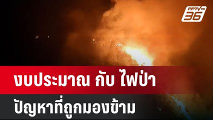 งบประมาณ กับ ไฟป่า ปัญหาที่ถูกมองข้าม | เข้มข่าวค่ำ | 12 ม.ค. 68