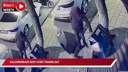 Kaldırımdaki kedi evini tekmeledi