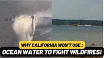 Why Don’t Firefighters Use Ocean Water to Fight Wildfires?