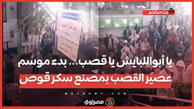 يا أبواللبايش يا قصب... بدء موسم عصير القصب بمصنع سكر قوص