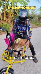 Racing the Pup: Bike Powered by Paws, Not Pedals