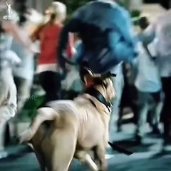 "The Hidden Battle: The Scene That Changed Everything in Fantasy Movies!"