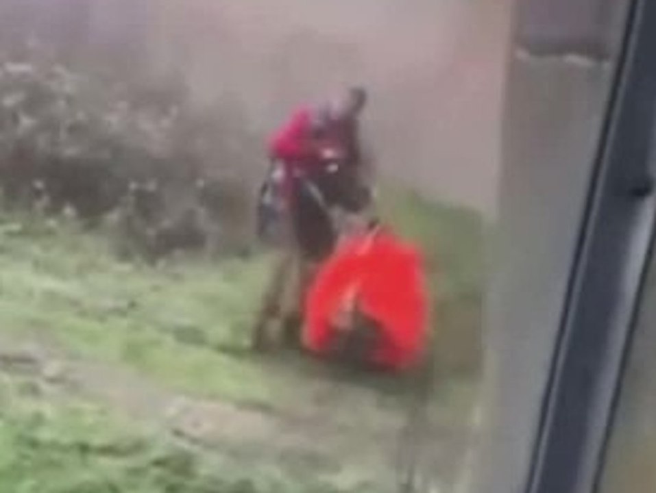 Ziel verfehlt: Fallschirmspringer landet im Affengehege