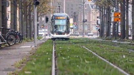 Strasbourg : quelles sont les causes de la collision entre tramways ?