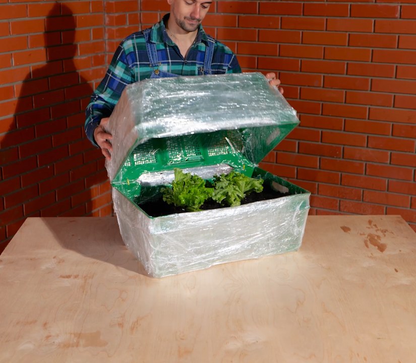 L'entretien des jardins en toute simplicité : Conseils pour tous les amoureux des plantes !