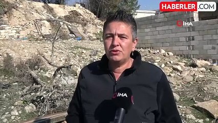 Gaziantep'te 3 Yavru Köpek Öldürüldü