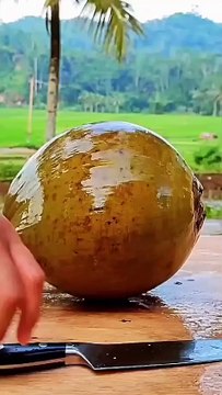 حضور میری تو ساری بہار آپ سے ہے ﷺ 💚 ﷺ 💚 ﷺ.