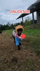 Kitty and videos #cats #kitty