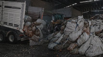 Bitki hastalığı tespit edilen patateslerin Mersin'de imhası sürüyor