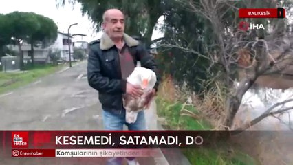 Balıkesir'de komşularının şikayetinden bıktı, beslediği kazları doğaya saldı