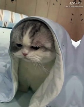 lvtemp_32c71e66-2477-4459-ab82-7fc31feaf28e9