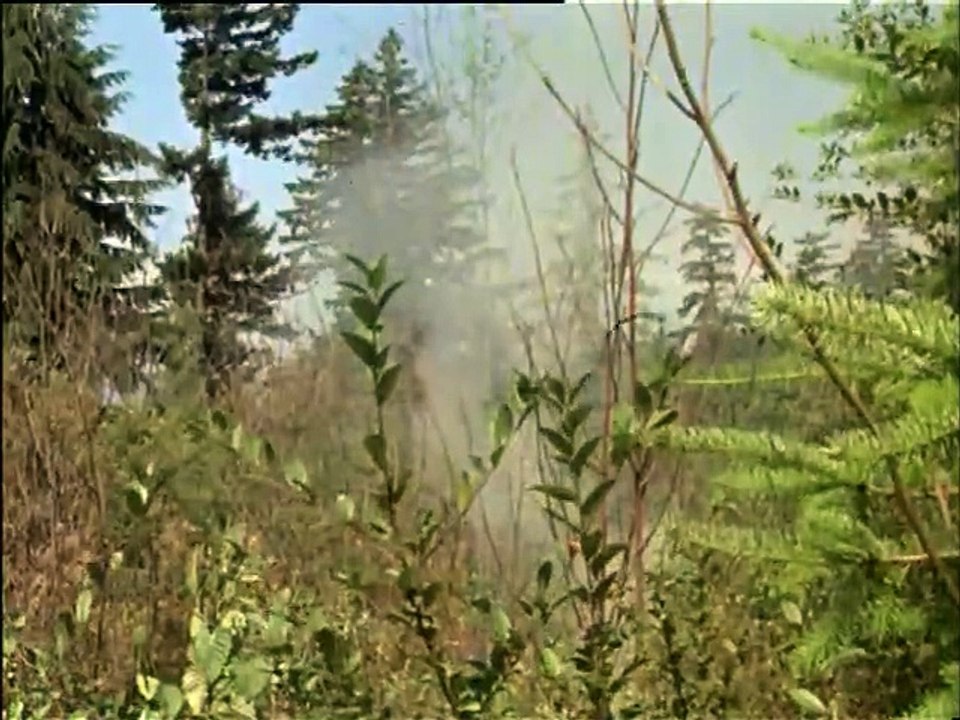 Huckleberry Finn and his Friends (1979)  E16 - The Rains Come