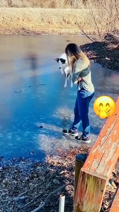 MOMEN FUNNY ANIMALS