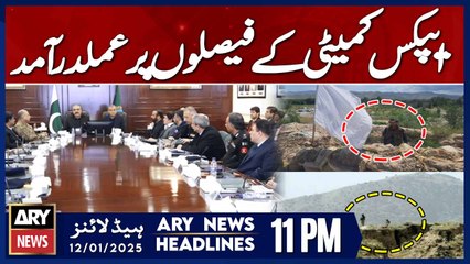 KP apex committee decides to dismantle all Kurram - ARY News 11 PM Headlines | 12th JAN 2025