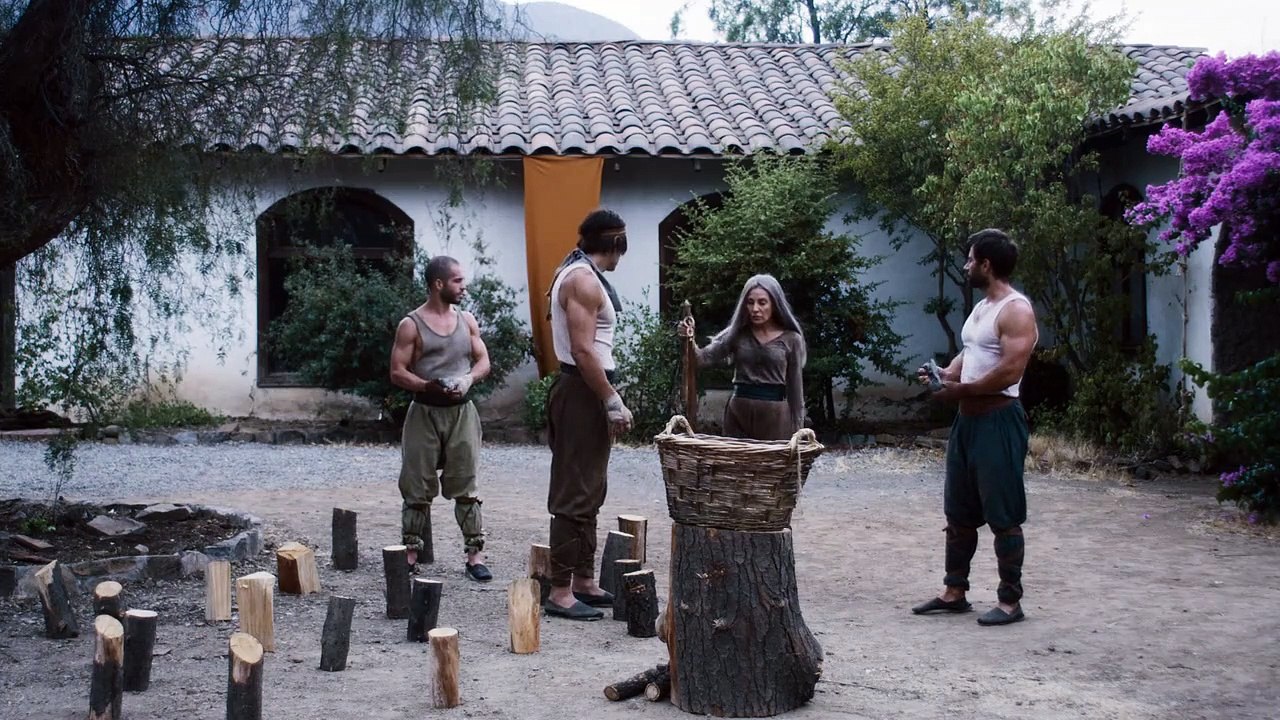 Die Faust des Condors