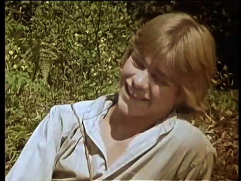 Huckleberry Finn and his friends (1979) E18 - Meet the Grangerfords