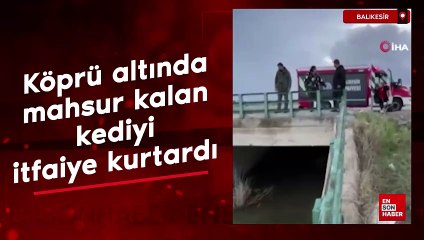 Balıkesir'de köprü altında mahsur kalan kedi kurtarıldı