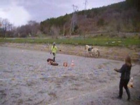 Séances de longe avec marjolaine (kao et rebel) 014