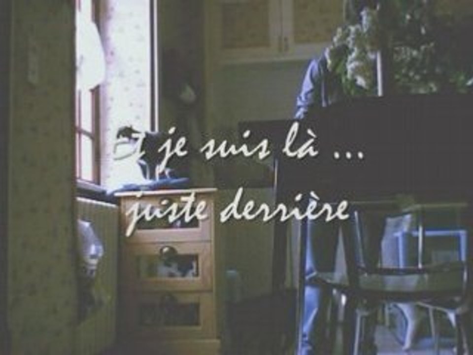 Les chats à la cantine