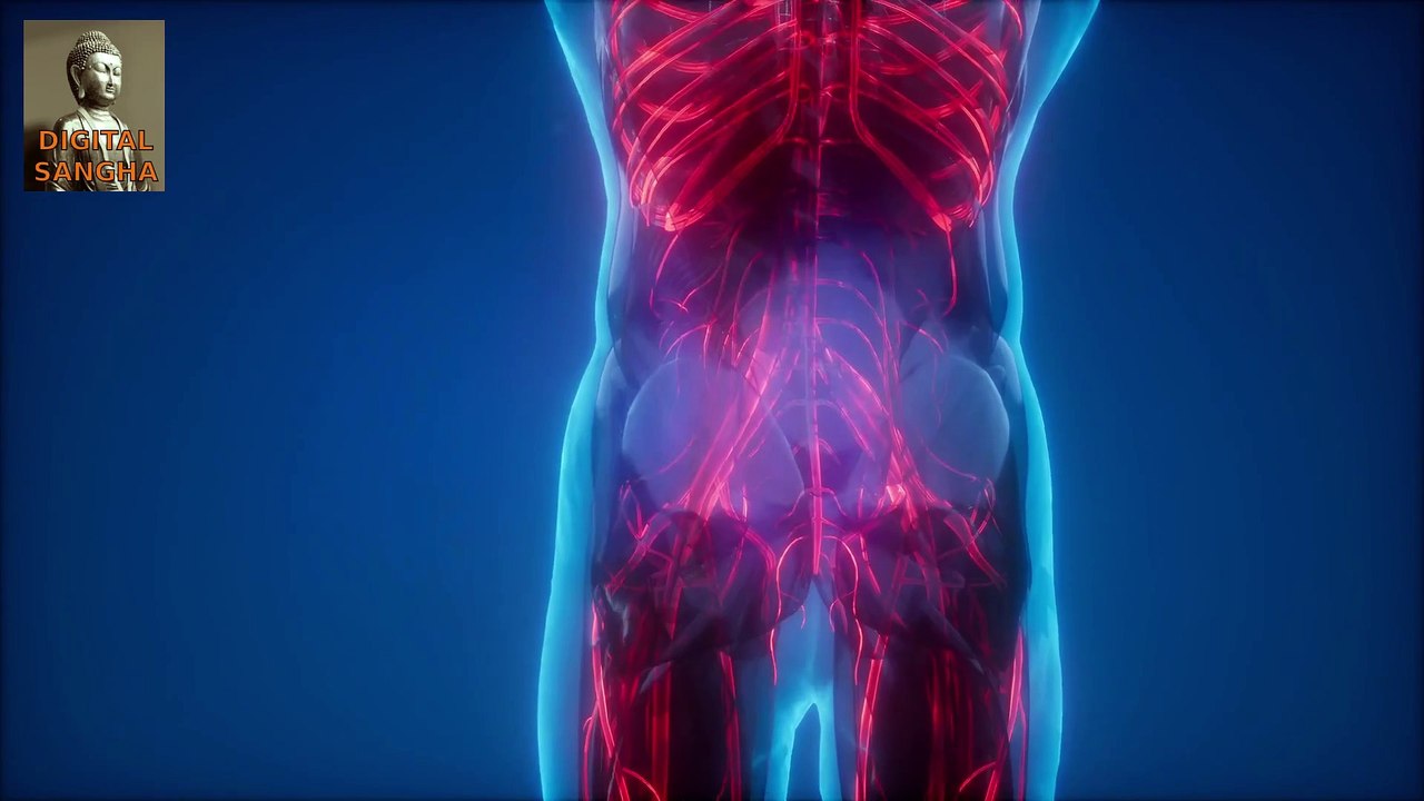 Sport - aus buddhistischer Sicht