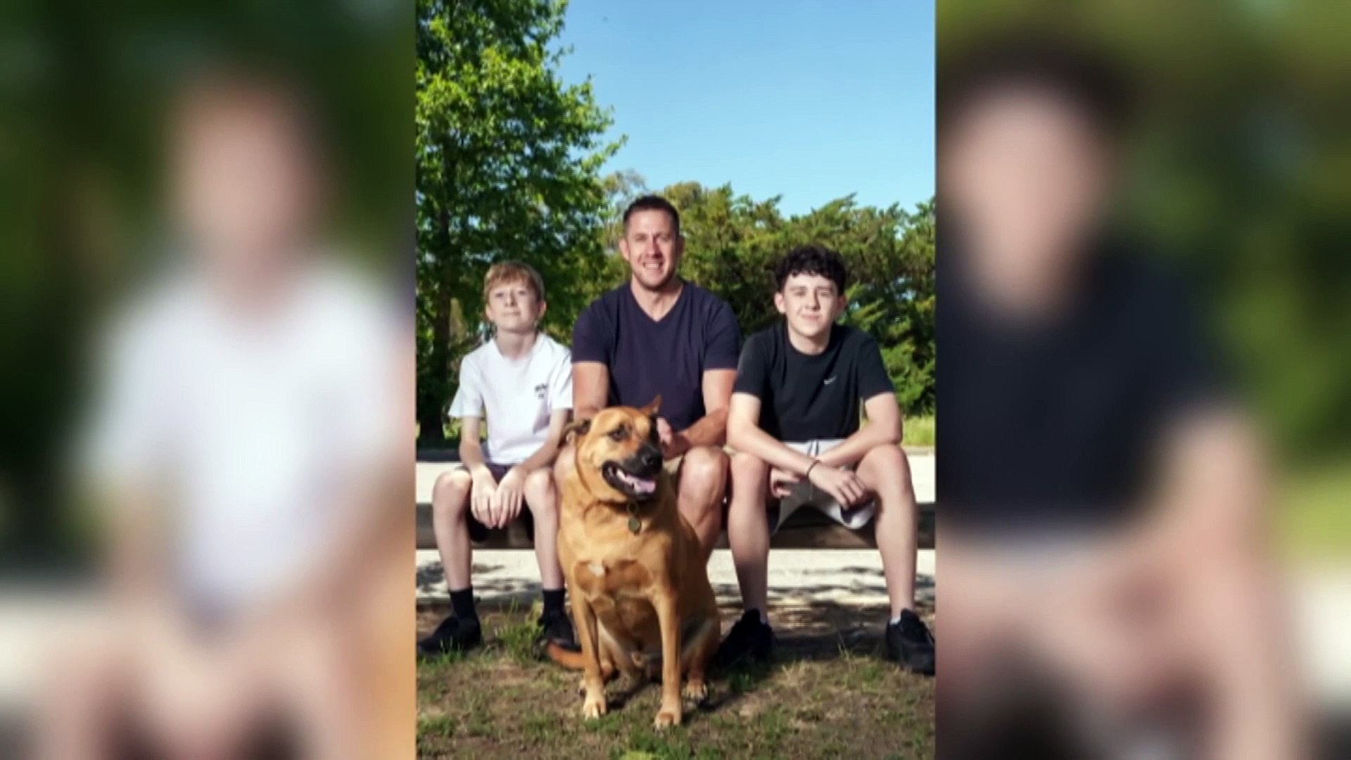 ⁣Canberrans urged to adopt from government shelter as capacity reaches full at Domestic Animal Servic