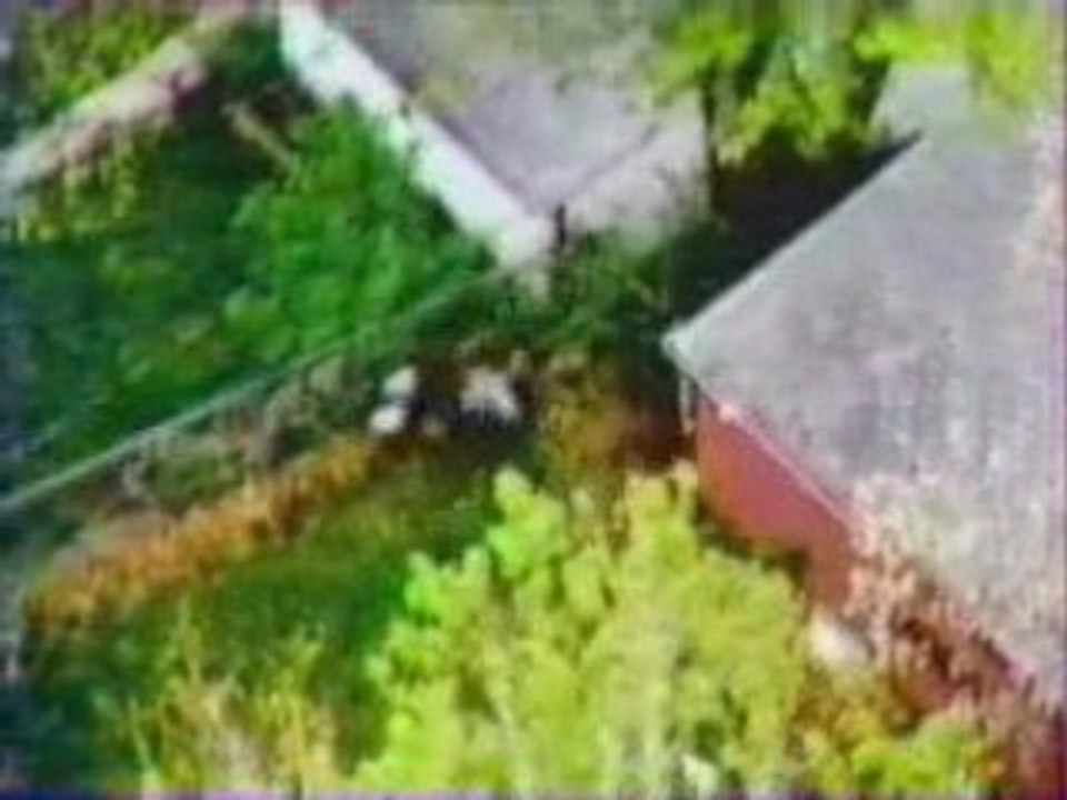 Courses poursuites américaines 3-13