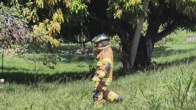 Bomberos atienden emergencias por presencia de abejas africanizadas