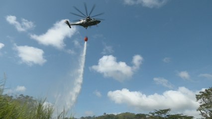 Realizan simulacro para atender emergencias de incendios de masa vegetal