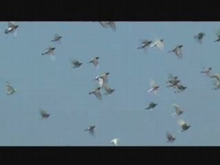 FPV 2008 Prix Delirium : Edmond