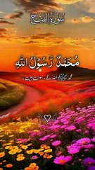 Surah Fatah With Urdu Translation #quran #tilawat