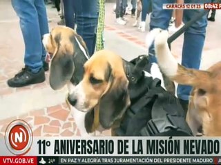 Caracas | Misión Nevado celebró su aniversario N°11 dedicado al bienestar de los animales