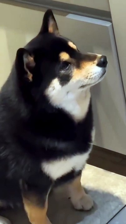 Ich will den bösen Kui nicht. Schau Kui nicht an.