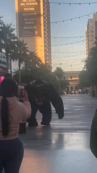 only in Vegas