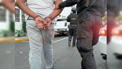 Más de 15 detenidos en Operación Panthera 7