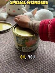 Bunny vs. The Never-Ending Lids