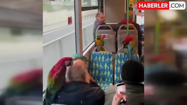 Görenler dönüp bir kez daha baktı! İETT otobüsünde sıra dışı görüntü