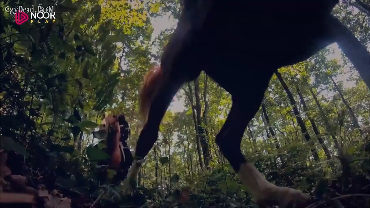 مسلسل المؤسس عثمان الحلقة 25 مترجمة