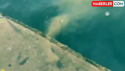 İstanbul'da denize atık su skandalı! Bakanlık harekete geçti