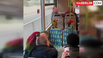 Görenler dönüp bir kez daha baktı! İETT otobüsünde sıra dışı görüntü