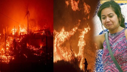 Los Angeles Wildfires:लॉस एंजेलिस की आग से बाल-बाल बचीं Actress Roopal Tyagi, बोलीं, 'सब जल गया...