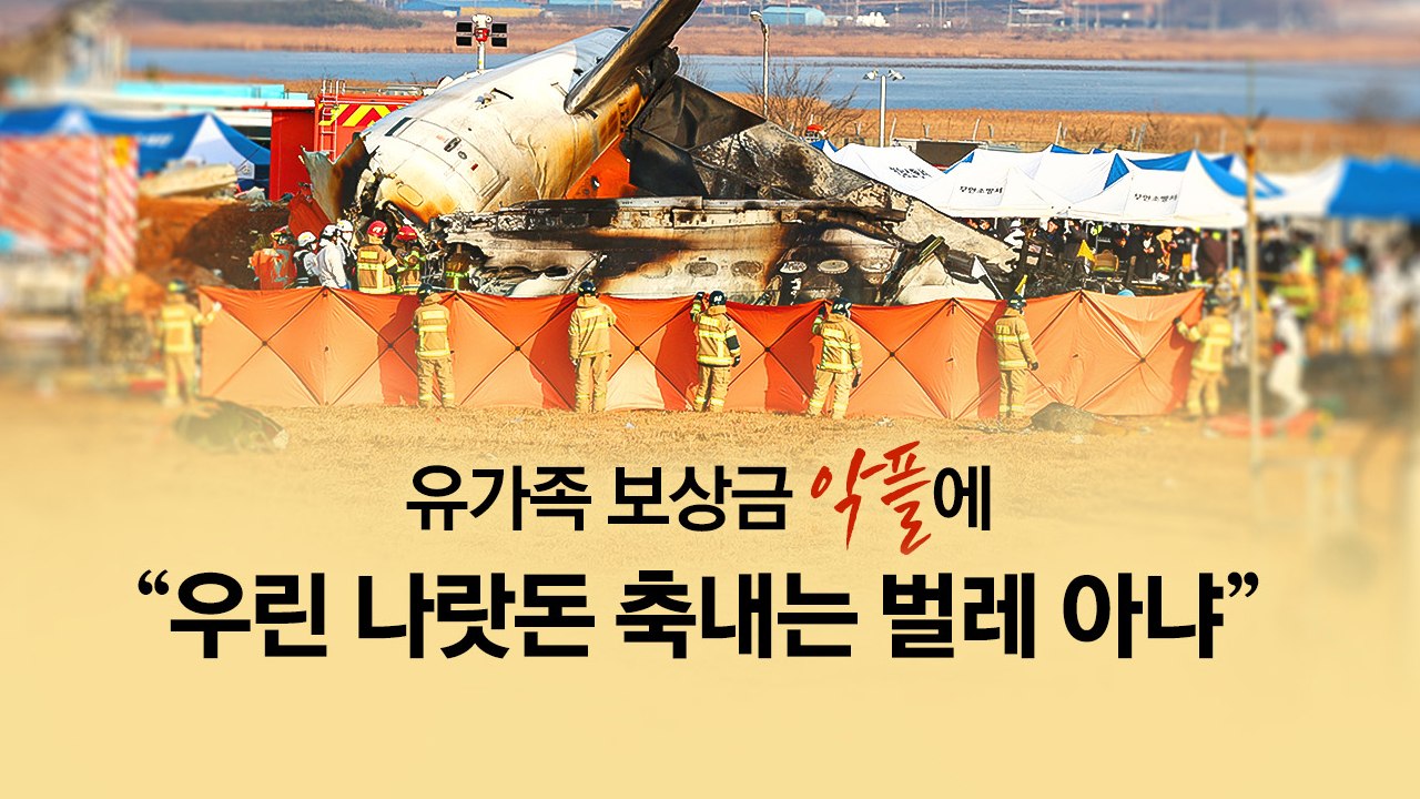 "우린 나랏돈 축내는 벌레 아냐" 무안 참사 유가족의 호소 [앵커리포트] / YTN