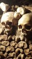 The Catacombs of Paris