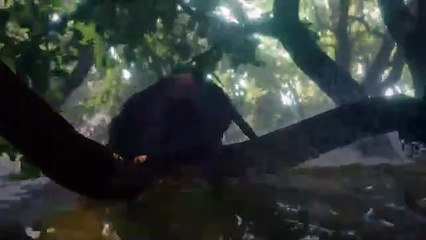 Flow, un mundo que salvar Clip