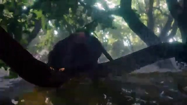 Flow, un mundo que salvar Clip