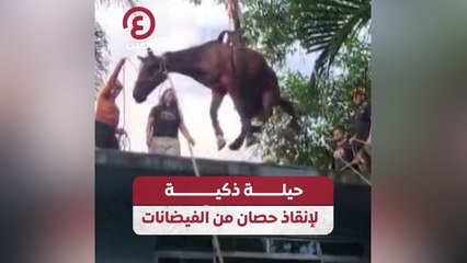 حيلة ذكية لإنقاذ حصان من الفيضانات