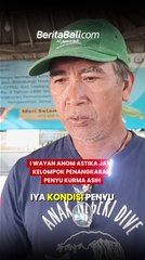 Penyu Hijau Diamankan dan Dilepaskan Kembali ke Habitat , Begini Tanggapan Penangkaran