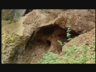 Documental Concejo del Franco
