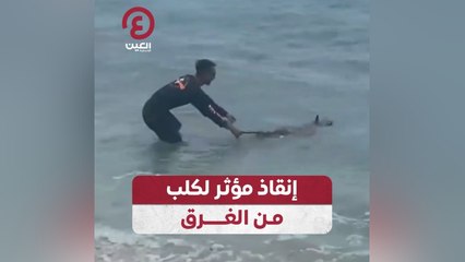 إنقاذ مؤثر لكلب من الغرق