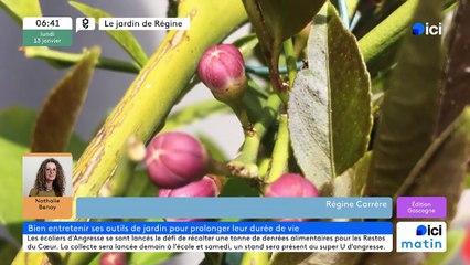 13/01/2025 - ici matin par ici Gascogne en vidéo